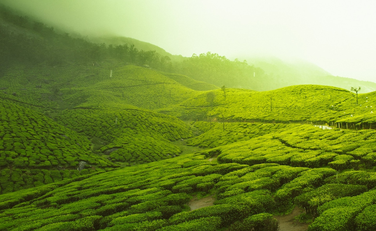 Latest and Breaking News on NDTV Latest and Breaking News on NDTV