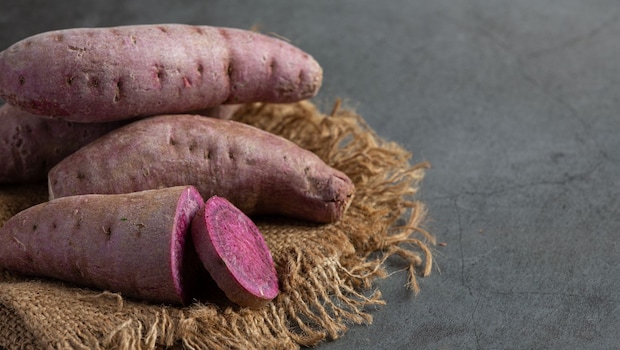 Latest and Breaking News on NDTV Latest and Breaking News on NDTV