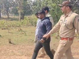 बाघ का शिकार कर शव टुकड़ों में बांटा, फिर खेत-तालाब में छिपाया; आरोपी गिरफ्तार