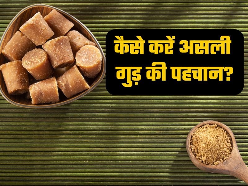 कहीं आप भी तो नहीं खा रहे हैं नकली गुड़? डॉक्टर समीर भाटी ने बताया कैसे करें असली गुड़ की पहचान