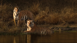 Madhya Pradesh On Global List Of '50 Best Places To Travel In 2026' - Top Attractions To See