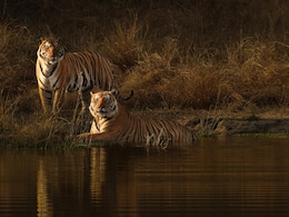 Madhya Pradesh On Global List Of '50 Best Places To Travel In 2026' - Top Attractions To See