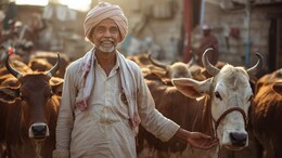 Rajasthan: भजनलाल सरकार में किसानों की बल्ले- बल्ले, डेयरी सेक्टर का मुनाफा हुआ 10 हजार करोड़ रुपये