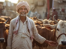 Rajasthan: भजनलाल सरकार में किसानों की बल्ले- बल्ले, डेयरी सेक्टर का मुनाफा हुआ 10 हजार करोड़ रुपये