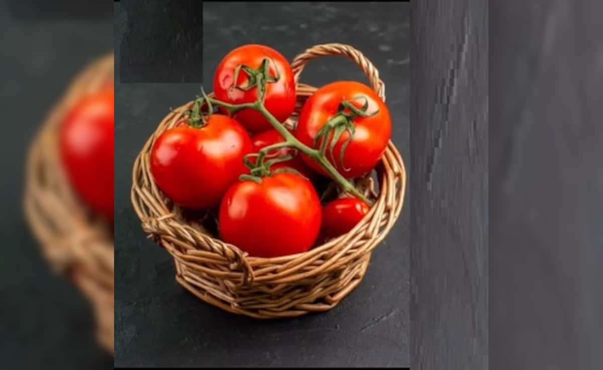 Latest and Breaking News on NDTV