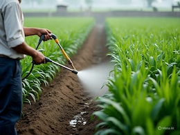 Chandigarh Doctors Achieve Major Breakthrough In Treating Lethal Pesticide Poisoning