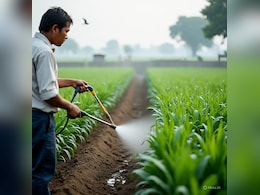 ग्रामीण इलाकों में बढ़ा डिप्रेशन, एंग्जायटी और डिमेंशिया का खतरा, ICMR की स्टडी में पेस्टीसाइड का चौंकाने वाला खुलासा!