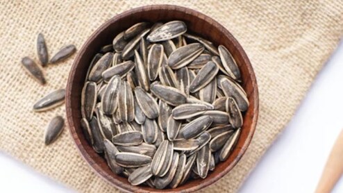 सूरजमुखी के बीज खाने के कौन सी बीमारी दूर होती है? सूरजमुखी के बीज को कैसे खाना चाहिए?