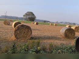 Parali Burning MP: मध्य प्रदेश बना पराली जलाने का नया हॉटस्पॉट, पंजाब-UP क‍िस नंबर पर? 