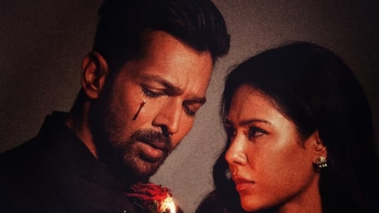 थामा का नुकसान करा गई 25 करोड़ में बनी ये फिल्म, सीधे-सीधे खींच ले गई 100 करोड़