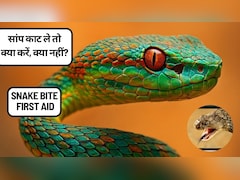 सांप के काटने पर क्या करें और क्या न करें? ज़हरीले सांपों की पहचान, लक्षण और तुरंत इलाज की पूरी जानकारी! Recipe