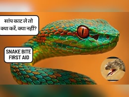 सांप के काटने पर क्या करें और क्या न करें? ज़हरीले सांपों की पहचान, लक्षण और तुरंत इलाज की पूरी जानकारी!