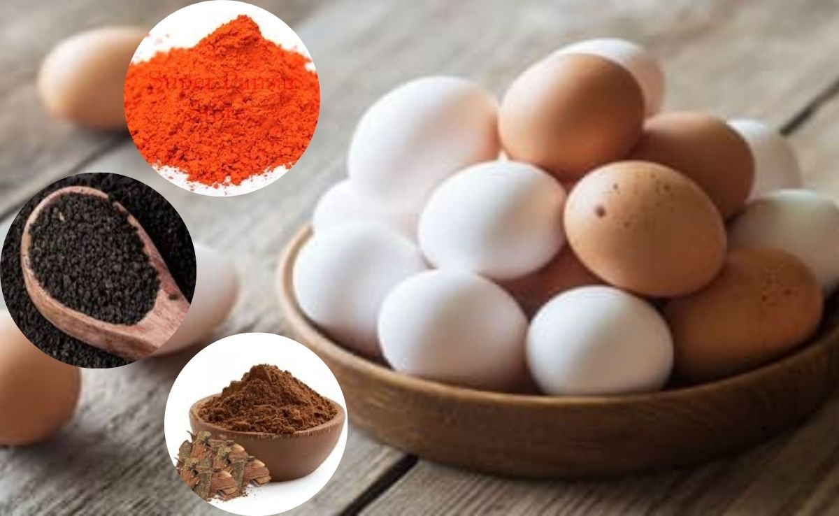 कत्था, चायपत्ती, सिंदूर... कैसे सफेद अंडों को रंगकर बना देते थे 'देसी' अंडा, जानें पूरा खेल