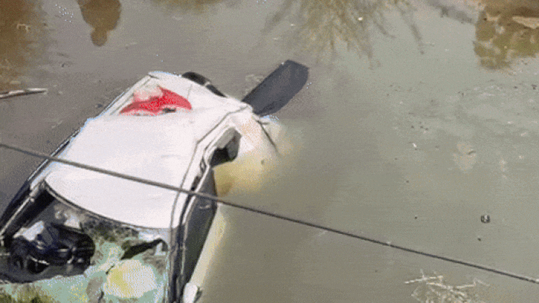 Rajasthan: पुलिया से 10 फीट नीचे गिरी कार, मसीहा बन महिला ने बचाई परिवार की जान, वीडियो बनाती रही भीड़