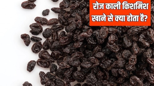 रोज काली किशमिश खाने से क्या होता है? आयुर्वेदिक डॉक्टर ने बताया एक दिन में कितनी काली किशमिश खानी चाहिए
