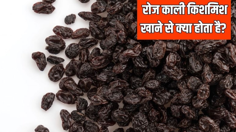 रोज काली किशमिश खाने से क्या होता है? आयुर्वेदिक डॉक्टर ने बताया एक दिन में कितनी काली किशमिश खानी चाहिए