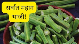 Vegetable Prices Mumbai : शेवग्याच्या शेंगांनी खाल्ला 'भाव', सर्वात महाग भाजी; किंमत वाचून भुवया उंचवाल!
