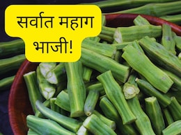 Vegetable Prices Mumbai : शेवग्याच्या शेंगांनी खाल्ला 'भाव', सर्वात महाग भाजी; किंमत वाचून भुवया उंचवाल!