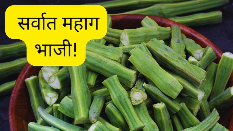 Vegetable Prices Mumbai : शेवग्याच्या शेंगांनी खाल्ला 'भाव', सर्वात महाग भाजी; किंमत वाचून भुवया उंचवाल!