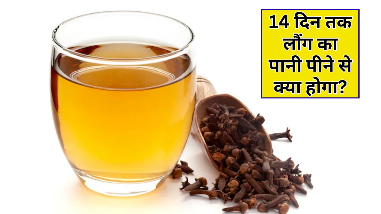 14 दिन तक लौंग का पानी पीने से क्या होगा? न्यूट्रिशनिस्ट ने बताया पीने का सही समय और तरीका