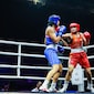 World Boxing Cup: Arundhati Choudhary Beats Former Medallist Leonie Muller, Five Indians Enter Final