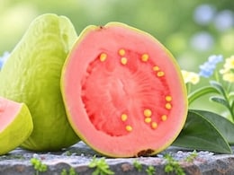 ये विंटर सुपरफ्रूट करता है हार्ट की सुरक्षा, धमनियों को रखता है साफ, सर्दियों में जरूर खाएं