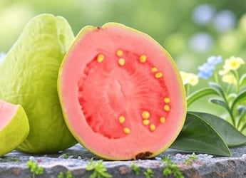 Why Guavas Deserve A Spot In Your Winter Diet: Health Benefits We All Should Know
