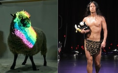 NYC Fashion Show Debuts Collection From Wool Of Gay Sheep