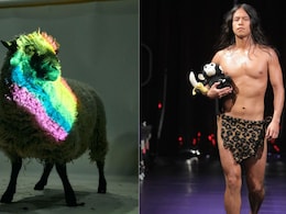 This NYC Fashion Show Just Presented A Collection Made From The Wool Of Gay Sheep
