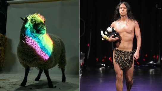 This NYC Fashion Show Just Presented A Collection Made From The Wool Of Gay  Sheep