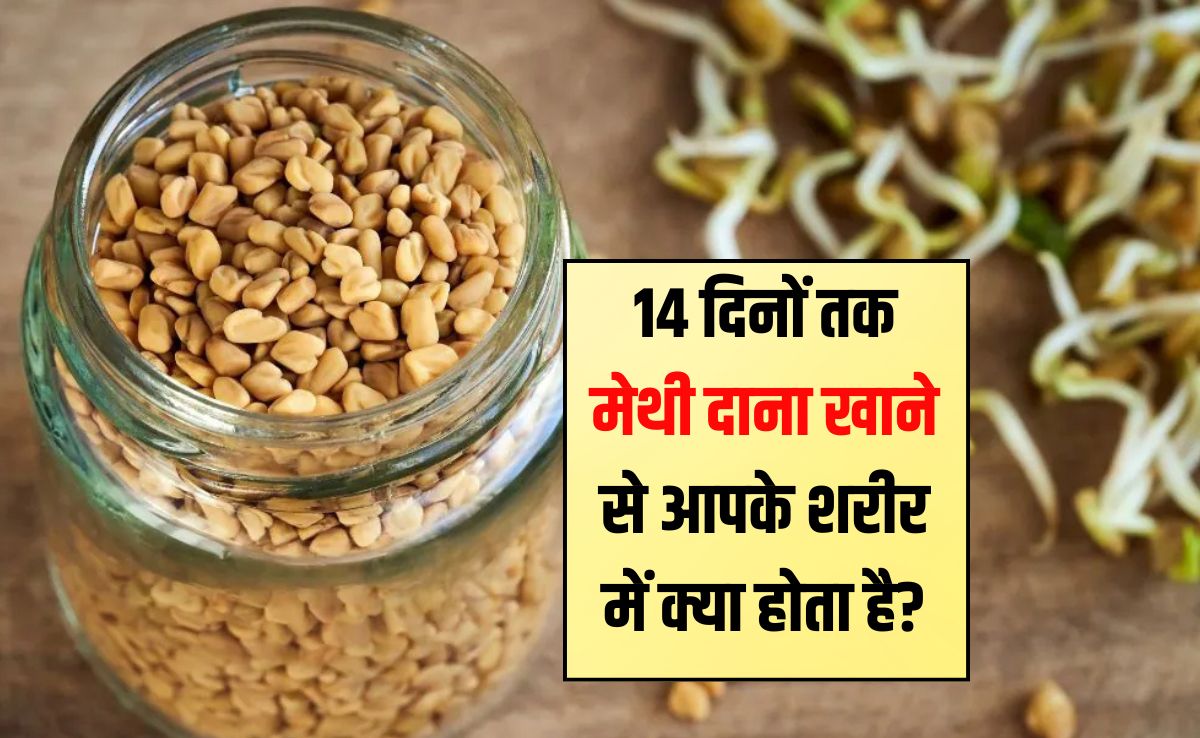 14 दिनों तक मेथी दाना खाने से आपके शरीर में क्या होता है? मेथी खाने से कौन सी बीमारियां दूर होती हैं, जान‍िए
