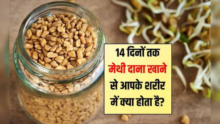 14 दिनों तक मेथी दाना खाने से आपके शरीर में क्या होता है? मेथी खाने से कौन सी बीमारियां दूर होती हैं, जान‍िए यहां पर