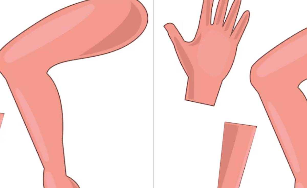 क्या हमारे हाथ और पैर बराबर होते हैं? 99% लोग नहीं जानते हैं ये बात