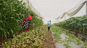 PepsiCo x NDTV | Partnerships Rooted In Trust