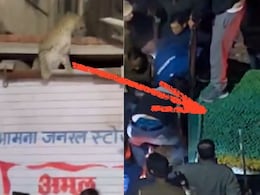 Rajasthan: जयपुर में चांदपोल की एक दुकान से पकड़ा गया खतरनाक तेंदुआ, 3 घंटे तक चला खौफनाक रेस्क्यू