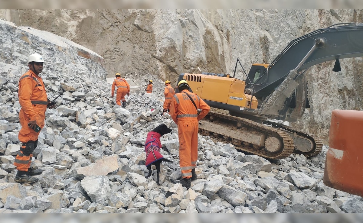 Latest and Breaking News on NDTV Latest and Breaking News on NDTV