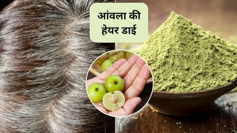 एक-एक बाल जड़ से हो जाएगा काला, आंवले से ऐसे बनाएं होममेड हेयर डाई, बाजार का झंझट हो जाएगा खत्म