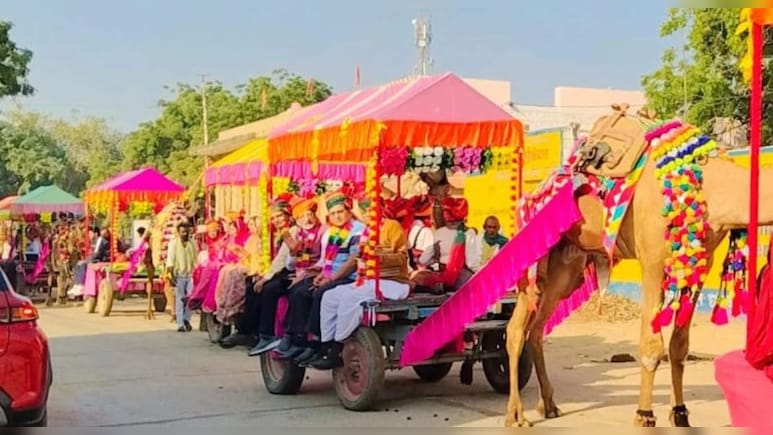 जालौर के भोरड़ा में 15 ऊंट-गाड़‍ियों पर निकली शाही बारात, दूल्हा ऊंट पर सवार; देखने उमड़ी भीड़