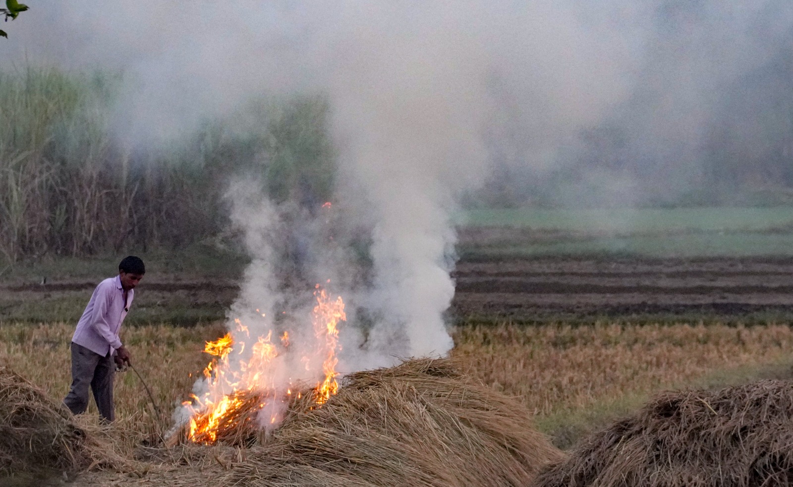 Satellites Missed Most Farm Fires In Punjab And Haryana: Report