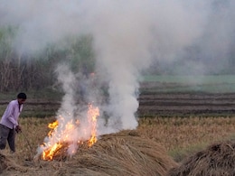 60% Rise In Stubble Burning In 6 States In 24 Hours: Delhi Gasps For Air