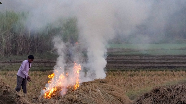 60% Rise In Stubble Burning In 6 States In 24 Hours: Delhi Gasps For Air