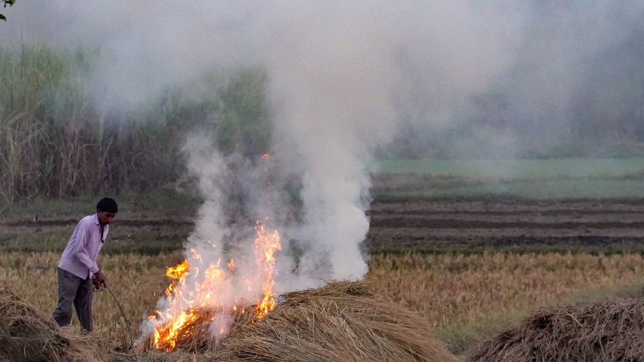 Analysis: Fewer Fires, Same Fog: Punjab's Stubble Politics Before 2027 Polls