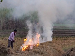 Farm Fires In Punjab, Haryana Lowest In 5 years: Air Quality Body