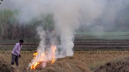Satellites Missed Most Farm Fires In Punjab And Haryana: Report