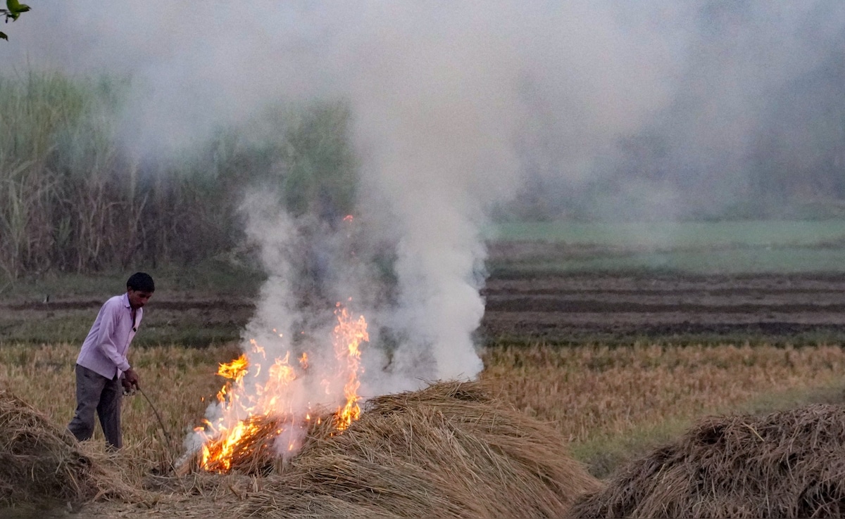 Stubble Burning Down By 90% In Punjab, Haryana, Centre Informs Parliament