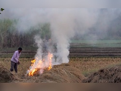 Stubble Burning Down By 90% In Punjab, Haryana, Centre Informs Parliament