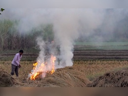 Stubble Burning Down By 90% In Punjab, Haryana, Centre Informs Parliament