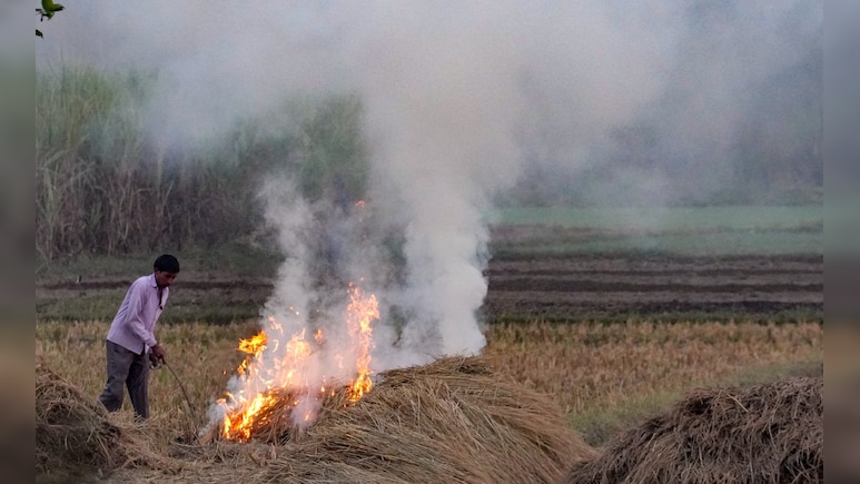 Stubble Burning Down By 90% In Punjab, Haryana, Centre Informs Parliament