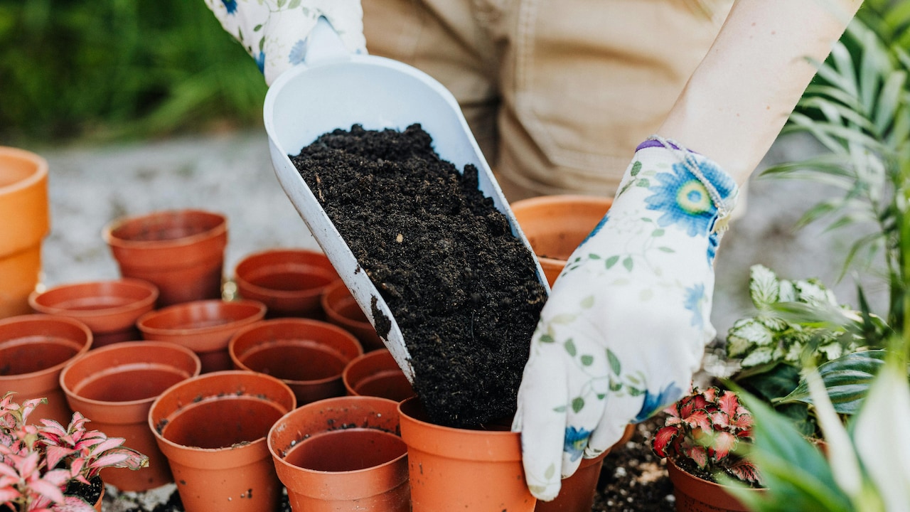 Planter Cleaning Tips: How to Remove Dirt Without Ruining the Finish Planter Cleaning Tips: How to Remove Dirt Without Ruining the Finish