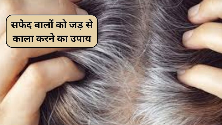 सफेद बाल हो जाएंगे काले, तेल में मिलाकर लगाएं ये 1 चीज, हेयर डाई की नहीं पड़ेगी जरूरत